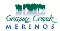 Grassy Creek Merinos